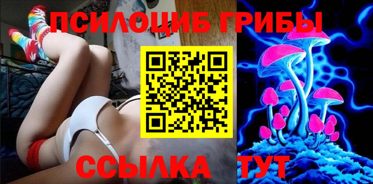 Карталы  Галлюциногенные грибы Psilocybe  Псилоцибиновые грибы Cubensis  Вход с VPN 